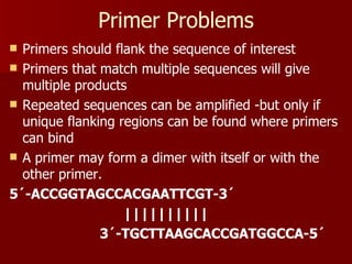 Primer Problems Primers should flank the sequence of interest Primers that match multiple sequences will give multiple products Repeated sequences can be amplified -but only if unique flanking regions can be found where primers can bind A primer may form a dimer with itself or with the other primer. 5´-ACCGGTAGCCACGAATTCGT-3´ |||||||||| 3´-TGCTTAAGCACCGATGGCCA-5´ 