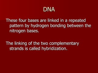DNA These four bases are linked in a repeated pattern by hydrogen bonding between the nitrogen bases. The linking of the two complementary strands is called hybridization. 