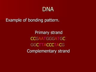 DNA Example of bonding pattern. Primary strand   CC G AA T GGG A T G C   GG C TT A CCC T A C G Complementary strand 