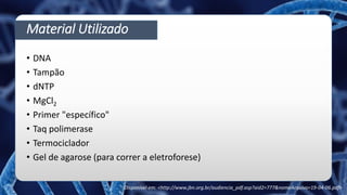 Material Utilizado
• DNA
• Tampão
• dNTP
• MgCl2
• Primer "específico"
• Taq polimerase
• Termociclador
• Gel de agarose (para correr a eletroforese)
Disponível em: <http://www.jbn.org.br/audiencia_pdf.asp?aid2=777&nomeArquivo=19-04-06.pdf>
 