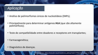 Aplicação
• Análise de polimorfismos únicos de nucleotídeos (SNPs);
• Principalmente para determinar antígenos HLA (que são altamente
polimórficos);
• Teste de compatibilidade entre doadores e receptores em transplantes;
• Farmacogenética;
• Diagnóstico de doenças.
Disponível em: <http://www.jbn.org.br/audiencia_pdf.asp?aid2=777&nomeArquivo=19-04-06.pdf>
 