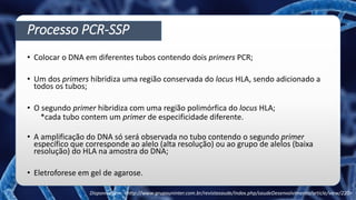 Processo PCR-SSP
• Colocar o DNA em diferentes tubos contendo dois primers PCR;
• Um dos primers hibridiza uma região conservada do locus HLA, sendo adicionado a
todos os tubos;
• O segundo primer hibridiza com uma região polimórfica do locus HLA;
*cada tubo contem um primer de especificidade diferente.
• A amplificação do DNA só será observada no tubo contendo o segundo primer
específico que corresponde ao alelo (alta resolução) ou ao grupo de alelos (baixa
resolução) do HLA na amostra do DNA;
• Eletroforese em gel de agarose.
Disponível em: <http://www.grupouninter.com.br/revistasaude/index.php/saudeDesenvolvimento/article/view/220>
 