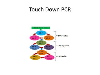 pcr types.pptx