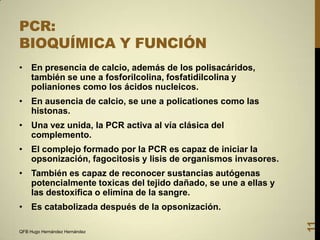 PCR:
BIOQUÍMICA Y FUNCIÓN
• En presencia de calcio, además de los polisacáridos,
también se une a fosforilcolina, fosfatidilcolina y
polianiones como los ácidos nucleicos.
• En ausencia de calcio, se une a policationes como las
histonas.
• Una vez unida, la PCR activa al vía clásica del
complemento.
• El complejo formado por la PCR es capaz de iniciar la
opsonización, fagocitosis y lisis de organismos invasores.
• También es capaz de reconocer sustancias autógenas
potencialmente toxicas del tejido dañado, se une a ellas y
las destoxifica o elimina de la sangre.

QFB Hugo Hernández Hernández

11

• Es catabolizada después de la opsonización.

 