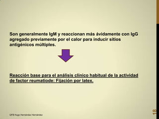 Son generalmente IgM y reaccionan más ávidamente con IgG
agregado previamente por el calor para inducir sitios
antigénicos múltiples.

QFB Hugo Hernández Hernández

18

Reacción base para el análisis clínico habitual de la actividad
de factor reumatiode: Fijación por latex.

 
