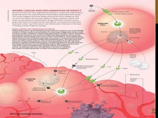 25

QFB Hugo Hernández Hernández

 