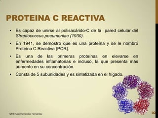 PROTEINA C REACTIVA
• Es capaz de unirse al polisacárido-C de la pared celular del
Streptococcus pneumoniae (1930).
• En 1941, se demostró que es una proteína y se le nombró
Proteina C Reactiva (PCR).
• Es una de las primeras proteínas en elevarse en
enfermedades inflamatorias e incluso, la que presenta más
aumento en su concentración.

QFB Hugo Hernández Hernández

8

• Consta de 5 subunidades y es sintetizada en el hígado.

 