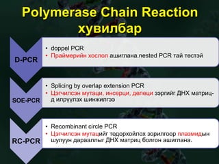 Soeing PCR shinjilgee | PPT