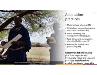 Mitigation and adaptation in Climate-Smart Livestock Systems
