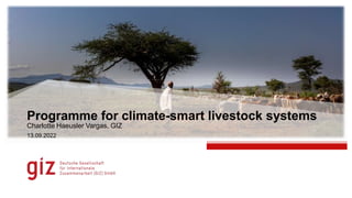 Programme for climate-smart livestock systems
Charlotte Haeusler Vargas, GIZ
13.09.2022
 