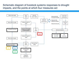 Policies and finance to scale-up Climate-Smart Livestock Systems