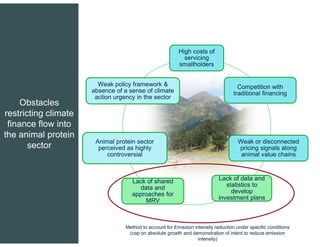 Policies and finance to scale-up Climate-Smart Livestock Systems