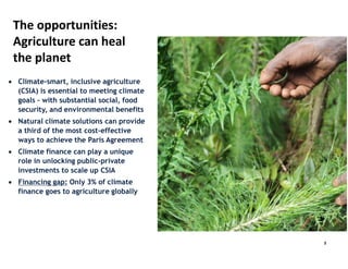 Policies and finance to scale-up Climate-Smart Livestock Systems