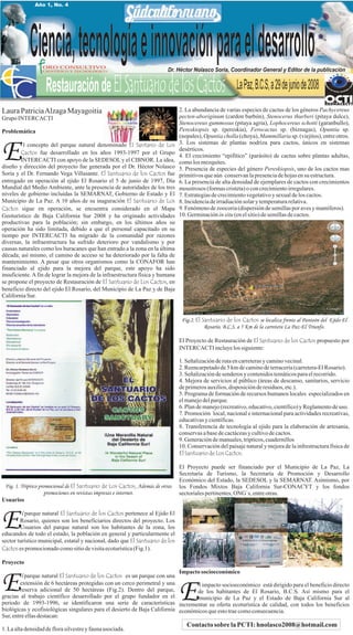 Año 1, No. 4




            Ciencia, tecnología e innovación para el desarrollo
                  ORO CONSULTIVO
                                                                          Dr. Héctor Nolasco Soria, Coordinador General y Editor de la publicación


                    Restauración de El Santuario de los Cactos
                  CIENTÍFICO Y TECNOLÓGICO




                                                                                                          La Paz, B.C.S, a 29 de junio de 2008
Laura Patricia Alzaga Mayagoitia                                                2. La abundancia de varias especies de cactus de los géneros Pachycereus
Grupo INTERCACTI                                                                pecten-aboriginum (cardon barbón), Stenocerus thurberi (pitaya dulce),
                                                                                Stenocereus gummosus (pitaya agria), Lophocereus schotti (garanbullo),
Problemática                                                                    Pereskiopsis sp. (pereskia), Ferocactus sp. (biznagas), Opuntia sp.
                                                                                (nopales), Opuntia cholla (choya), Mammillaria sp. (viejitos), entre otros.


E        l concepto del parque natural denominado El Santario de Los            3. Los sistemas de plantas nodriza para cactos, únicos en sistemas
                                                                                desérticos.
        Cactos fue desarrollado en los años 1993-1997 por el Grupo
                                                                                4. El crecimiento “epifítico” (parásito) de cactus sobre plantas adultas,
        INTERCACTI con apoyo de la SEDESOL y el CIBNOR. La idea,                como los mezquites.
diseño y dirección del proyecto fue generada por el Dr. Héctor Nolasco          5. Presencia de especies del género Pereskiopsis, uno de los cactos mas
Soria y el Dr. Fernando Vega Villasante. El Santuario de los Cactos fue         primitivos que aún conservan la presencia de hojas en su estructura.
entregado en operación al ejido El Rosario el 5 de junio de 1997, Día           6. La presencia de alta densidad de ejemplares de cactos con crecimientos
Mundial del Medio Ambiente, ante la presencia de autoridades de los tres        moustrosos (formas cristeta) o con crecimiento irregulares.
niveles de gobierno incluídas la SEMARNAT, Gobierno de Estado y El              7. Estrategias de crecimiento vegetativo y sexual de los cactos.
Municipio de La Paz. A 10 años de su inaguración El Santuario de Los            8. Incidencia de irradiación solar y temperatura relativa.
Cactos sigue en operación, se encuentra considerado en el Mapa                  9. Fenómeno de zoocoria (dispersión de semillas por aves y mamíferos).
Geoturístico de Baja California Sur 2008 y ha originado actividades             10. Germinación in situ (en el sitio) de semillas de cactos.
productivas para la población; sin embargo, en los últimos años su
operación ha sido limitada, debido a que el personal capacitado en su
tiempo por INTERCACTI ha migrado de la comunidad por razones
diversas, la infraestructura ha sufrido deterioro por vandalismo y por
causas naturales como los huracanes que han entrado a la zona en la última
década; así mismo, el camino de acceso se ha deteriorado por la falta de
mantenimiento. A pesar que otros organismos como la CONAFOR han
financiado al ejido para la mejora del parque, este apoyo ha sido
insuficiente. A fin de lograr la mejora de la infraestructura física y humana
se propone el proyecto de Restauración de El Santuario de Los Cactos, en
beneficio directo del ejido El Rosario, del Municipio de La Paz y de Baja
California Sur.



                                                                                 Fig.2. El Santuario de los Cactos se localiza frente al Panteón del Ejido El
                                                                                            Rosario, B.C.S. a 5 Km de la carretera La Paz-El Triunfo.

                                                                                El Proyecto de Restauración de El Santuario de los Cactos propuesto por
                                                                                INTERCACTI incluye los siguiente:

                                                                                1. Señalización de ruta en carreteras y camino vecinal.
                                                                                2. Reencarpetado de 5 km de camino de terracería (carretera-El Rosario).
                                                                                3. Señalización de senderos y contenidos temáticos para el recorrido.
                                                                                4. Mejora de servicios al público (áreas de descanso, sanitarios, servicio
                                                                                de primeros auxilios, disposición de residuos, etc.).
                                                                                5. Programa de formación de recursos humanos locales especializados en
                                                                                el manejo del parque.
                                                                                6. Plan de manejo (recreativo, educativo, científico) y Reglamento de uso.
                                                                                7. Promoción local, nacional e internacional para actividades recreativas,
                                                                                educativas y científicas.
                                                                                8. Transferencia de tecnología al ejido para la elaboración de artesania,
                                                                                conservas a base de cactáceas y cultivo de cactos.
                                                                                9. Generación de manuales, tripticos, cuadernillos
                                                                                10. Conservación del paisaje natural y mejora de la infrestructura física de
                                                                                El Santuario de Los Cactos.

                                                                                El Proyecto puede ser financiado por el Municipio de La Paz, La
                                                                                Secretaría de Turismo, la Secretaría de Promoción y Desarrollo
                                                                                Económico del Estado, la SEDESOL y la SEMARNAT. Asímismo, por
 Fig. 1. Triptico promocional de El Santuario de Los Cactos, Además de otras    los Fondos Mixtos Baja California Sur-CONACYT y los fondos
                    promociones en revistas impresas e internet.                sectoriales pertinentes, ONG`s, entre otras.
Usuarios



E        l parque natural El Santuario de los Cactos pertenece al Ejido El
        Rosario, quienes son los beneficiarios directos del proyecto. Los
        Usuarios del parque natural son los habitantes de la zona, los
educandos de todo el estado, la población en general y particularmente el
sector turístico municipal, estatal y nacional, dado que El Santuario de los
Cactos es promocionado como sitio de visita ecoturística (Fig.1).

Proyecto
                                                                            Impacto socioeconómico

E        l parque natural El Santuario de los Cactos es un parque con una
        extensión de 6 hectáreas protegidas con un cerco perimetral y una
        reserva adicional de 50 hectáreas (Fig.2). Dentro del parque,
gracias al trabajo científico desarrollado por el grupo fundador en el          E  l impacto socioeconómico está dirigido para el beneficio directo
                                                                                  de los habitantes de El Rosario, B.C.S. Así mismo para el
                                                                                  municipio de La Paz y el Estado de Baja California Sur al
periodo de 1993-1996, se identificaron una serie de características incrementar su oferta ecoturística de calidad, con todos los beneficios
biológicas y ecofisiológicas singulares para el desierto de Baja California económicos que esto trae como consecuencia.
Sur, entre ellas destacan:
                                                                                   Contacto sobre la PCTI: hnolasco2008@hotmail.com
1. La alta densidad de flora silvestre y fauna asociada.
 