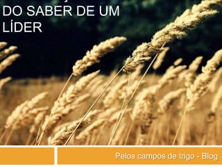 DO SABER DE UM
LÍDER
Pelos campos de trigo - Blog
 