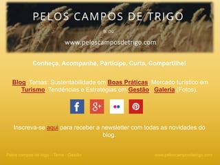 Conheça, Acompanhe, Participe, Curta, Compartilhe!
Blog, Temas: Sustentabilidade em Boas Práticas; Mercado turístico em
Turismo; Tendências e Estratégias em Gestão, Galeria (Fotos).
Inscreva-se aqui para receber a newsletter com todas as novidades do
blog.
www.peloscamposdetrigo.comPelos campos de trigo – Tema - Gestão
 