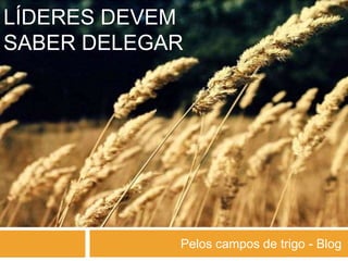 LÍDERES DEVEM
SABER DELEGAR
Pelos campos de trigo - Blog
 