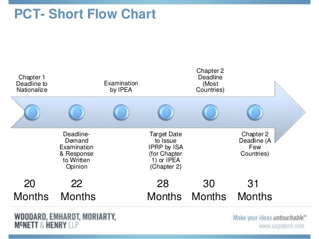 Pct Patent Process Flow Chart
