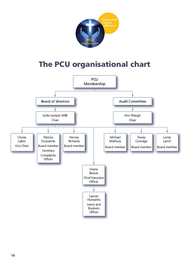 Credit Union Organisational Chart