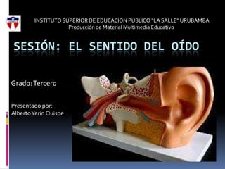  INSTITUTO SUPERIOR DE EDUCACIÓN PÚBLICO “LA SALLE” URUBAMBA Producción de Material Multimedia Educativo  Sesión: El Sentido del Oído Grado: Tercero Presentado por: Alberto Yarín Quispe 