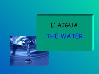 L’ AIGUA THE WATER 