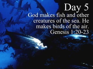 Day 5 God makes fish and other creatures of the sea. He makes birds of the air. Genesis 1:20-23 