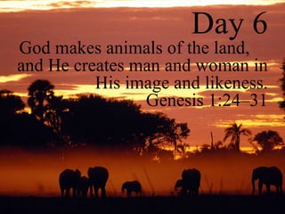 Day 6 God makes animals of the land,  and He creates man and woman in His image and likeness. Genesis 1:24–31 