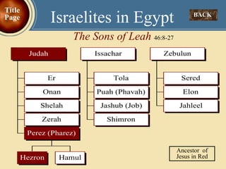 BACK  Israelites in Egypt The Sons of Leah  46:8-27 Title Page Ancestor  of Jesus in Red 