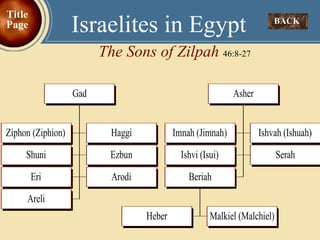 BACK  Israelites in Egypt The Sons of Zilpah  46:8-27 Title Page 