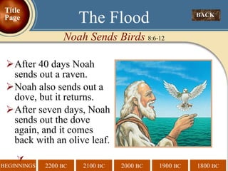 After 40 days Noah sends out a raven. Noah also sends out a dove, but it returns. After seven days, Noah sends out the dove again, and it comes back with an olive leaf.  The Flood Noah Sends Birds  8:6-12 BACK  Title Page 