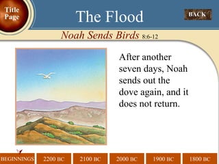  The Flood Noah Sends Birds  8:6-12 After another seven days, Noah sends out the dove again, and it does not return. BACK  Title Page 