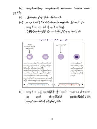 PCV Guideline - Burmese | PDF