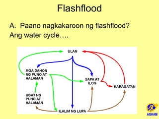 Flashflood Paano nagkakaroon ng flashflood? Ang water cycle…. 