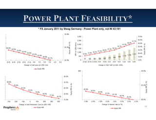 * FS January 2011 by Steag Germany - Power Plant only, not NI 43-101




                                                                       18
 