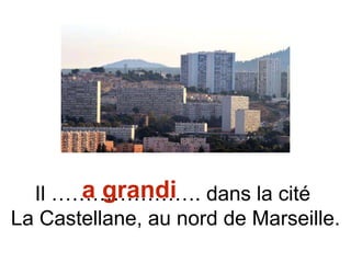 Il …………………. dans la cité
La Castellane, au nord de Marseille.
a grandi
 