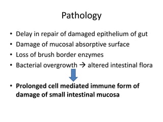 Pathology
• Delay in repair of damaged epithelium of gut
• Damage of mucosal absorptive surface
• Loss of brush border enzymes
• Bacterial overgrowth  altered intestinal flora
• Prolonged cell mediated immune form of
damage of small intestinal mucosa
 
