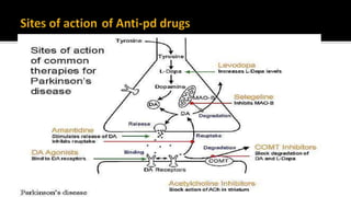 parkinsons disease recent updates