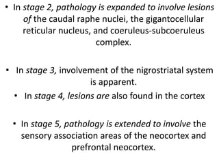 • In stage 2, pathology is expanded to involve lesions
of the caudal raphe nuclei, the gigantocellular
reticular nucleus, and coeruleus-subcoeruleus
complex.
• In stage 3, involvement of the nigrostriatal system
is apparent.
• In stage 4, lesions are also found in the cortex
• In stage 5, pathology is extended to involve the
sensory association areas of the neocortex and
prefrontal neocortex.
 