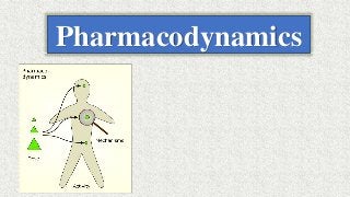 Pharmacodynamics
 