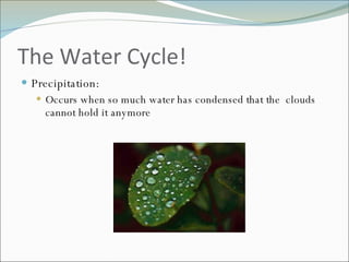 The Water Cycle! Precipitation: Occurs when so much water has condensed that the  clouds cannot hold it anymore 