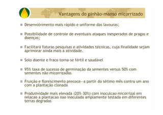 P&D Itabira E Regiao