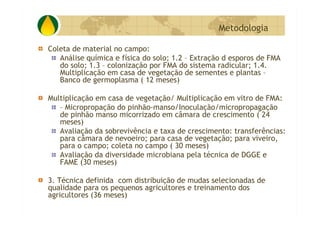 P&D Itabira E Regiao