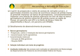 P&D Itabira E Regiao