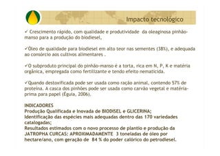 P&D Itabira E Regiao