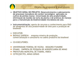 P&D Itabira E Regiao