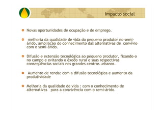 P&D Itabira E Regiao