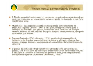 P&D Itabira E Regiao