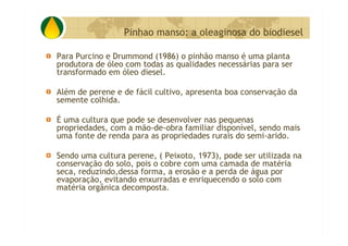 P&D Itabira E Regiao