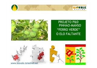 P&D Itabira E Regiao