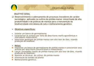 P&D Itabira E Regiao